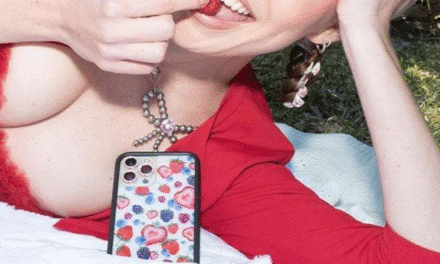 Fruit Tart iPhone 16 Pro Max Case Review: Too Cute to Protect?