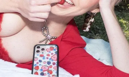 Fruit Tart iPhone 16 Pro Max Case Review: Too Cute to Protect?