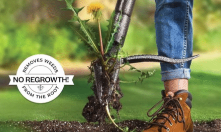 Weed Puller Tool Review: Can This Stand Up Weeder Save Your Back?