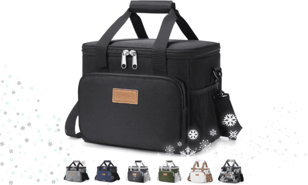 Best Budget Insulated Lunch Bag