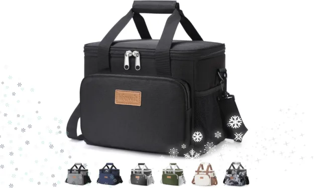 Best Budget Insulated Lunch Bag