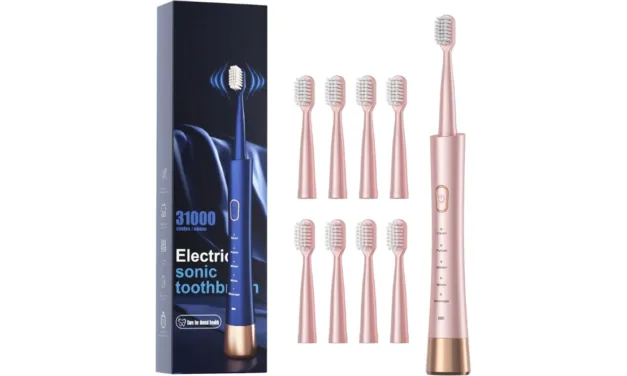 Best Electric Toothbrush for Adults Under $15