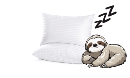 Best Budget Hotel Collection Bed Pillows — EIUE Queen Pack: Worth It?