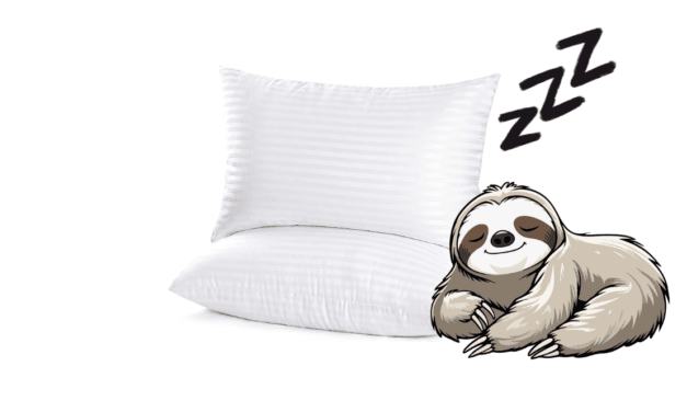 Best Budget Hotel Collection Bed Pillows — EIUE Queen Pack: Worth It?