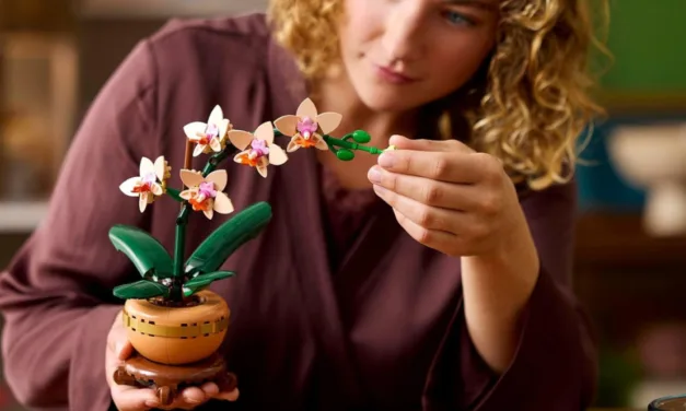 LEGO Botanicals Mini Orchid Review: Complete Building Guide & Display Ideas (2026)